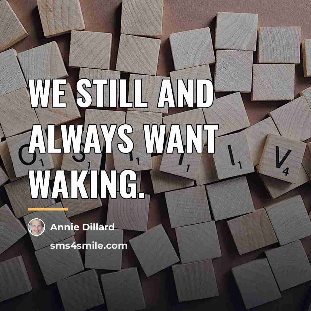“We still and always want waking.…” quote by Annie Dillard