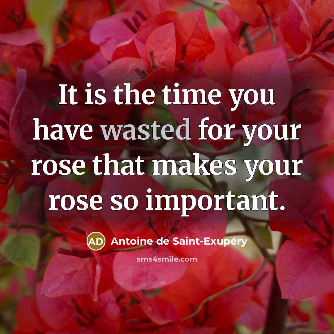 “It is the time you have wasted for your rose…” quote by Antoine de Saint-Exupery