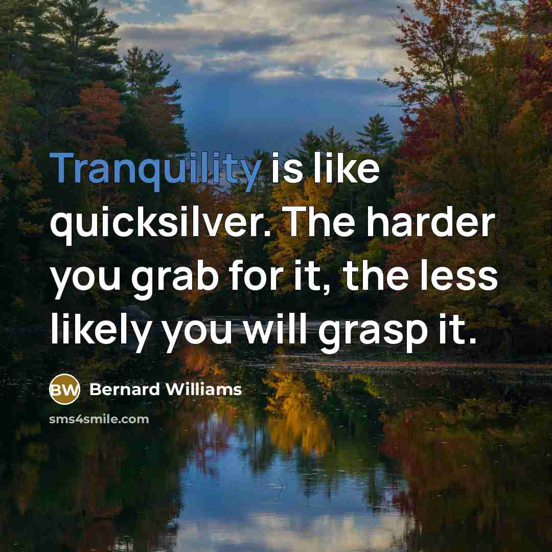 “Tranquility is like quicksilver. The harder you grab for it,…” quote by Bernard Williams