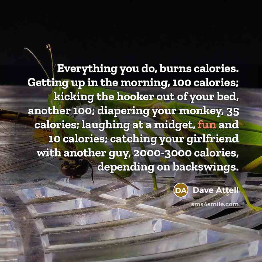 “Everything you do, burns calories. Getting up in the morning,…” quote by Dave Attell