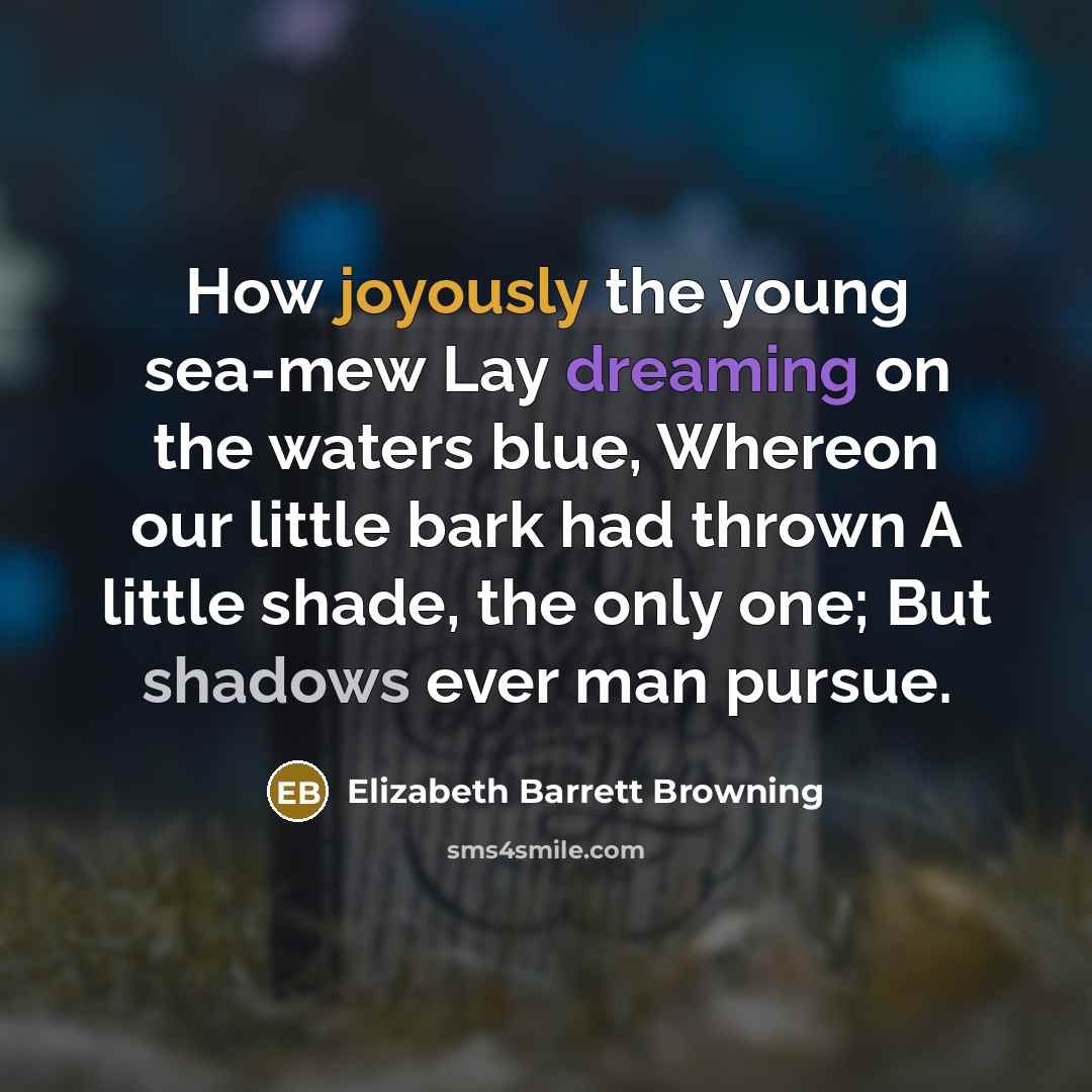 “How joyously the young sea-mew Lay dreaming on the waters…” quote by Elizabeth Barrett Browning