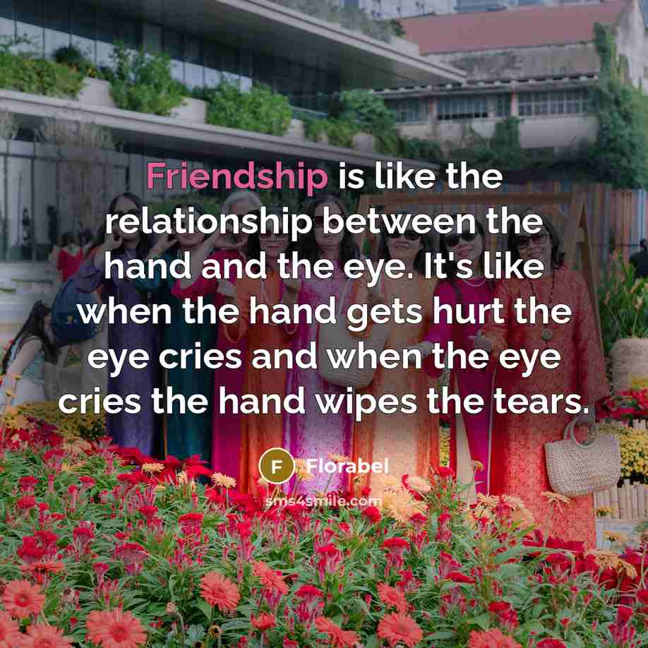 “Friendship is like the relationship between the hand and the…” quote by Florabel