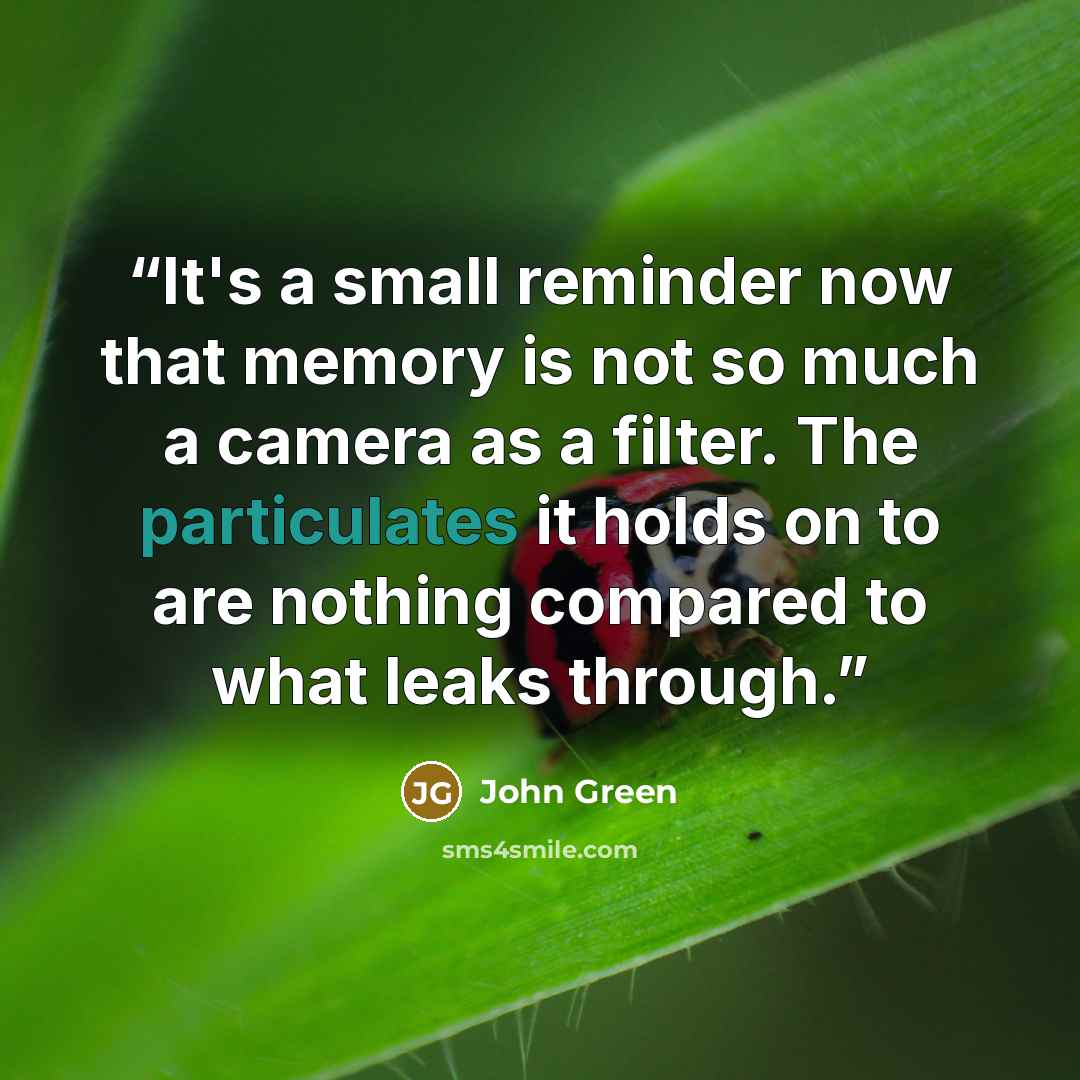 “It's a small reminder now that memory is not so much a camera as a filter. The particulates it holds on to are nothing compared to what leaks through.” quote by John Green