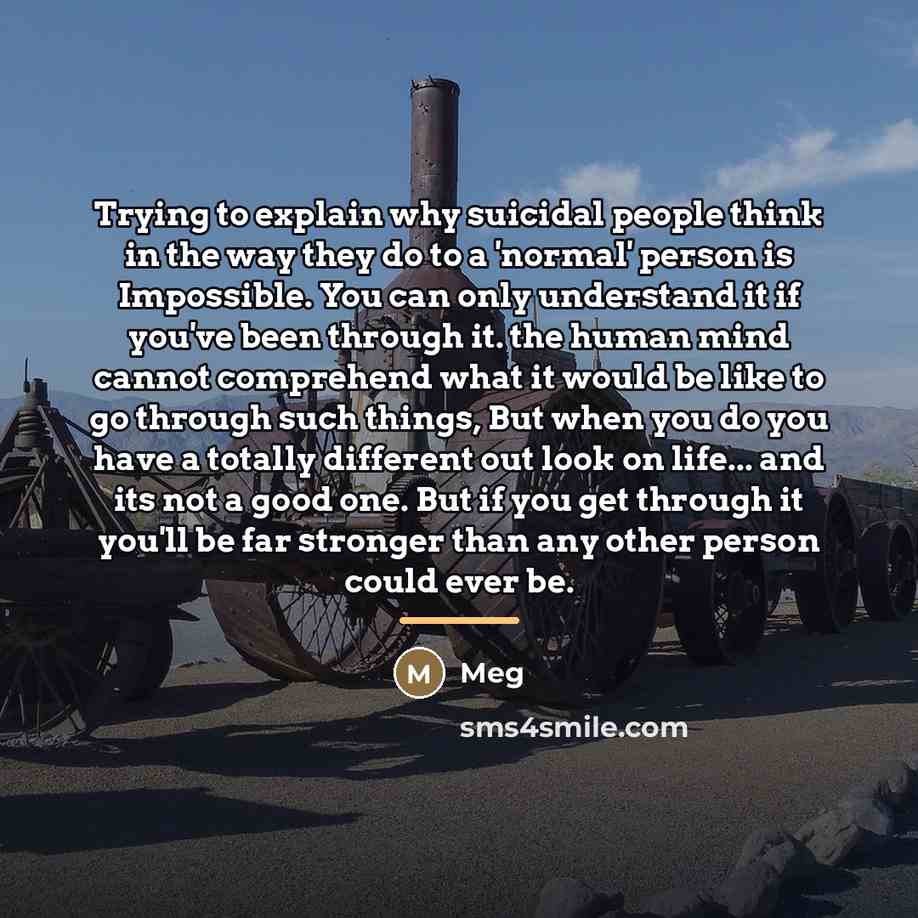 “Trying to explain why suicidal people think in the way…” quote by Meg
