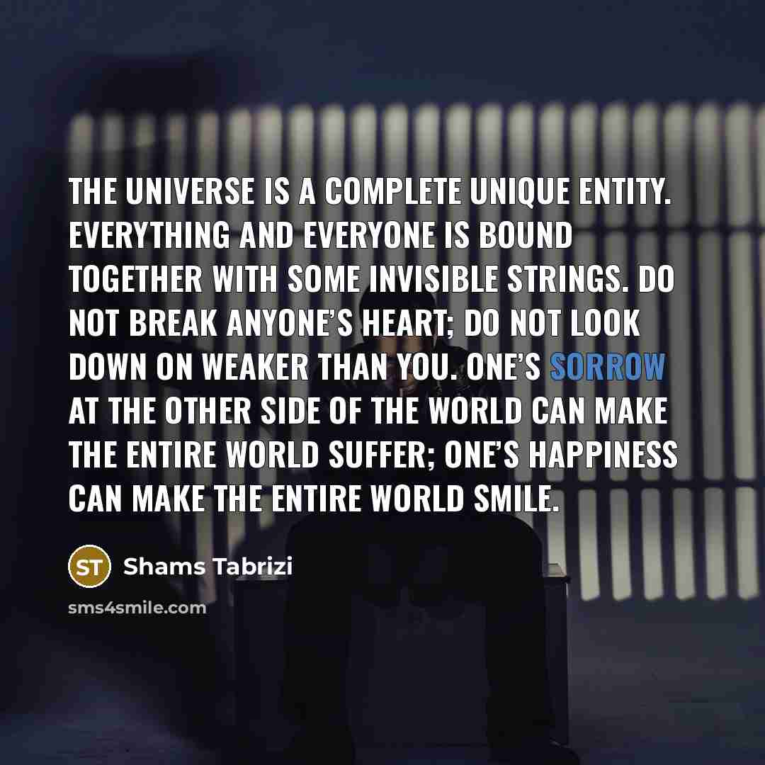 “The universe is a complete unique entity. Everything and everyone…” quote by Shams Tabrizi