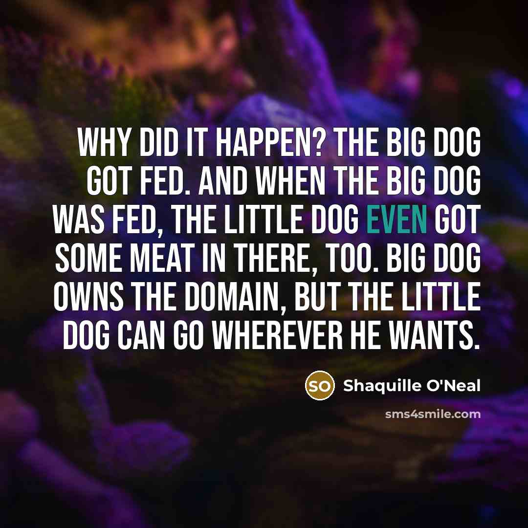 “Why did it happen? The big dog got fed. And when the big dog was fed, the little dog even got some meat in there, too. Big dog owns the domain, but the little dog can go wherever he wants.” quote by Shaquille O'Neal