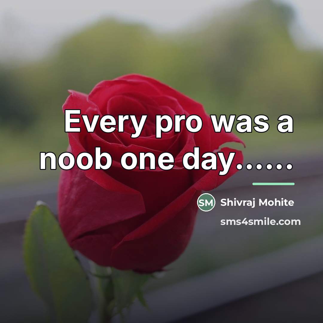“Every pro was a noob one day......…” quote by Shivraj Mohite