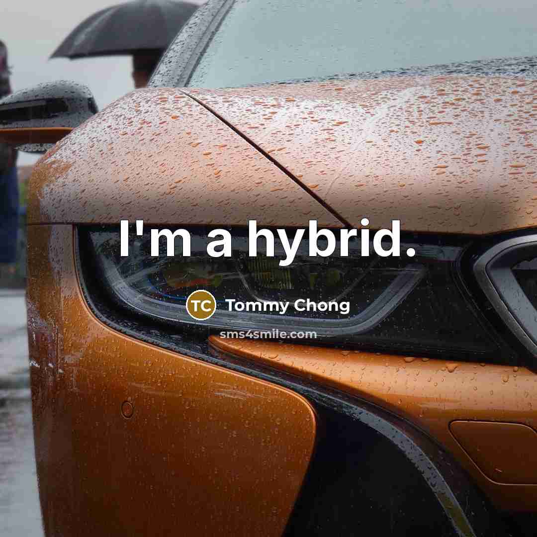 “I'm a hybrid.…” quote by Tommy Chong