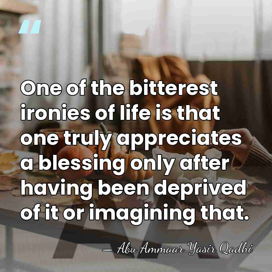 One of the bitterest ironies of life is that one truly appreciates&hellip; - Abu Ammaar Yasir Qadhi