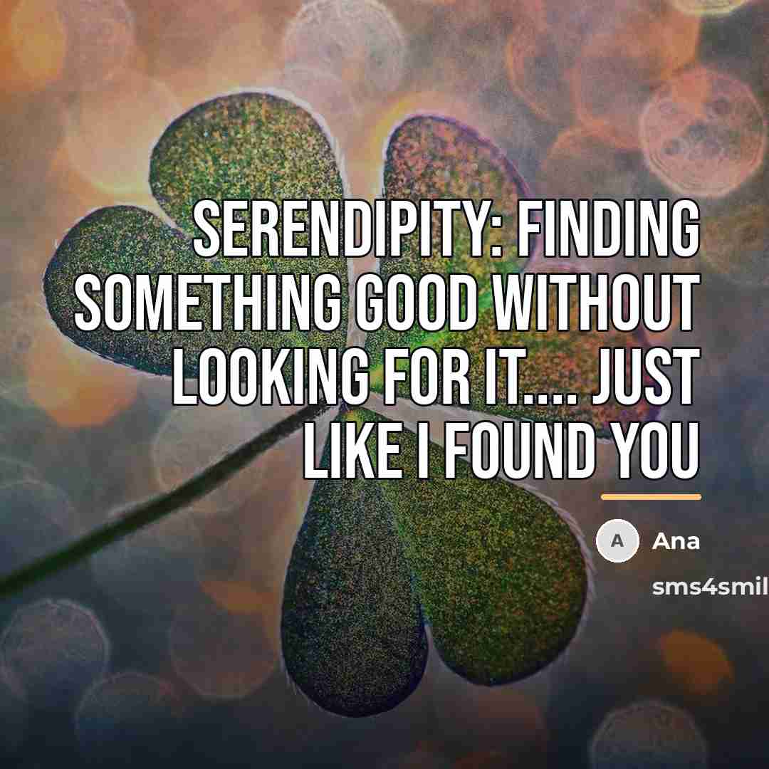 “SERENDIPITY: finding something good without looking for it.... just like…” quote by Ana