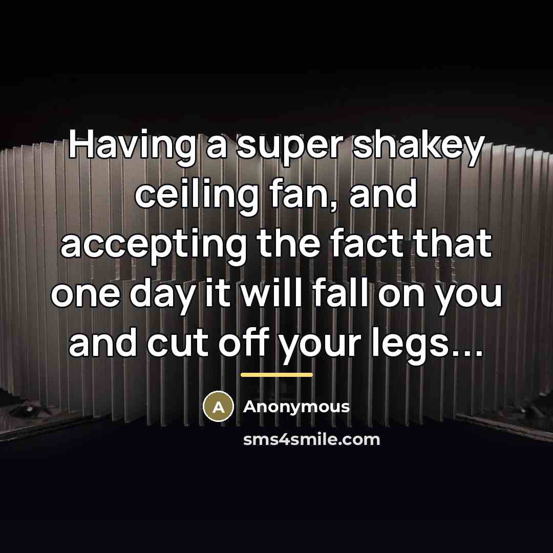 “Having a super shakey ceiling fan, and accepting the fact…” quote by Anonymous