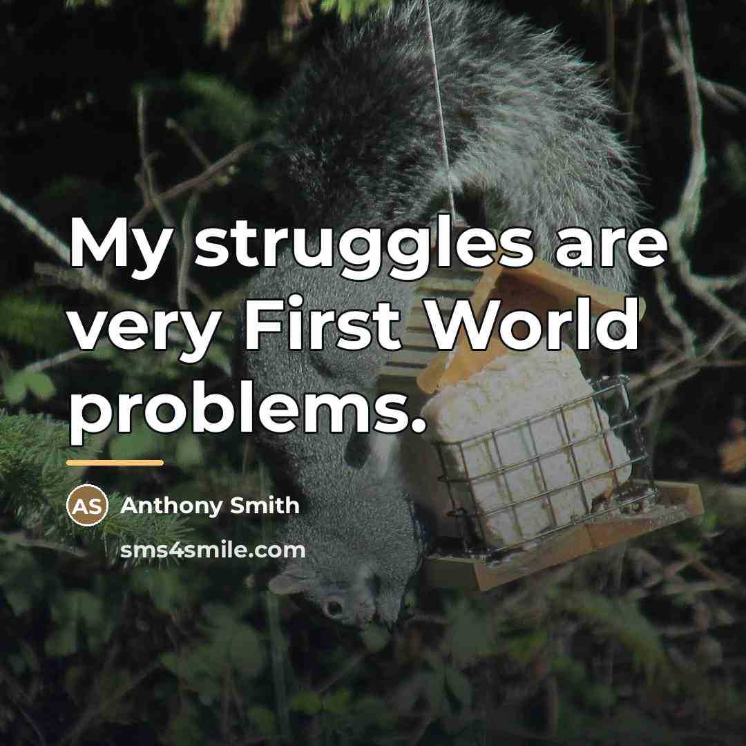 “My struggles are very First World problems.…” quote by Anthony Smith