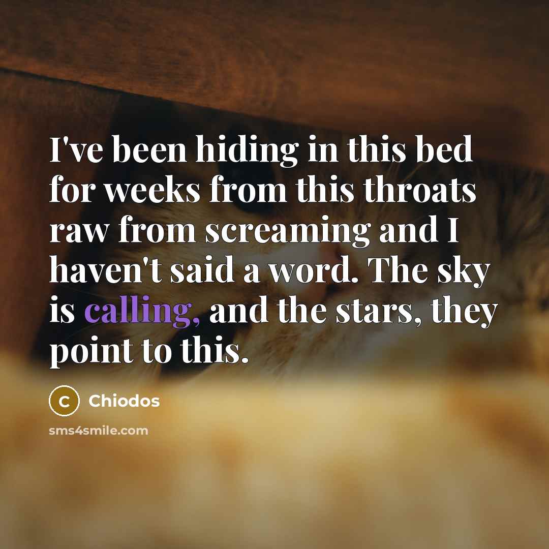 “I've been hiding in this bed for weeks from this…” quote by Chiodos