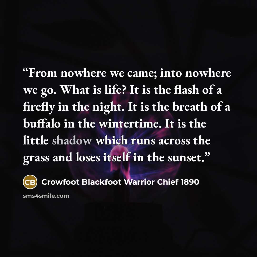 “From nowhere we came; into nowhere we go. What is life? It is the flash of a firefly in the night. It is the breath of a buffalo in the wintertime. It is the little shadow which runs across the grass and loses itself in the sunset.” quote by Crowfoot Blackfoot Warrior Chief 1890