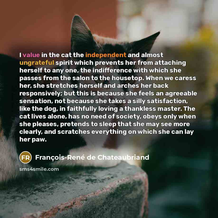 “I value in the cat the independent and almost ungrateful…” quote by François-René de Chateaubriand