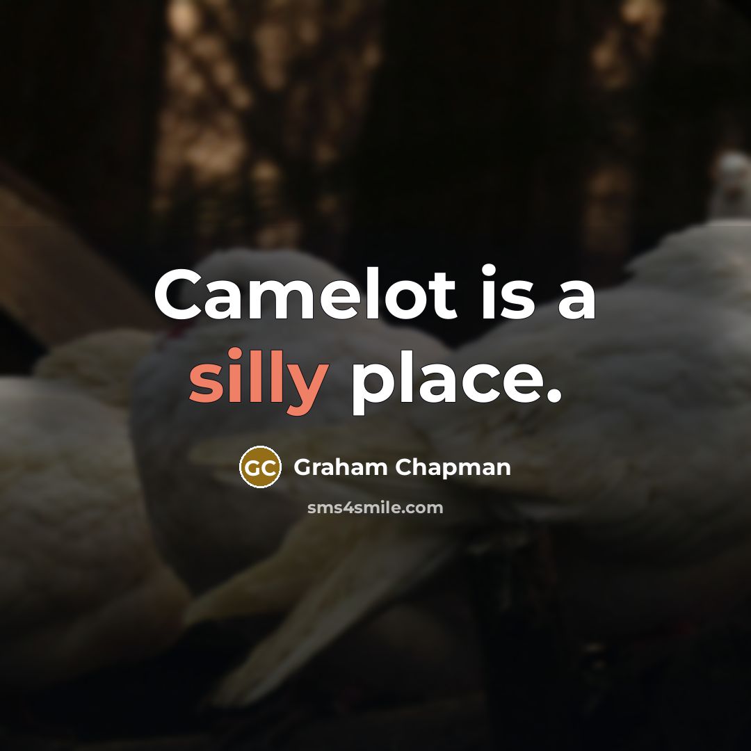 “Camelot is a silly place.…” quote by Graham Chapman