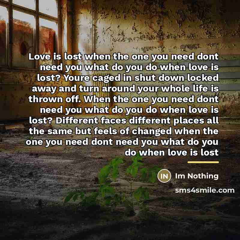 “Love is lost when the one you need dont need…” quote by Im Nothing