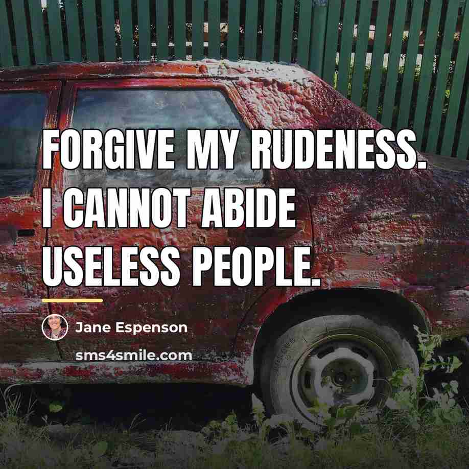 “Forgive my rudeness. I cannot abide useless people.…” quote by Jane Espenson