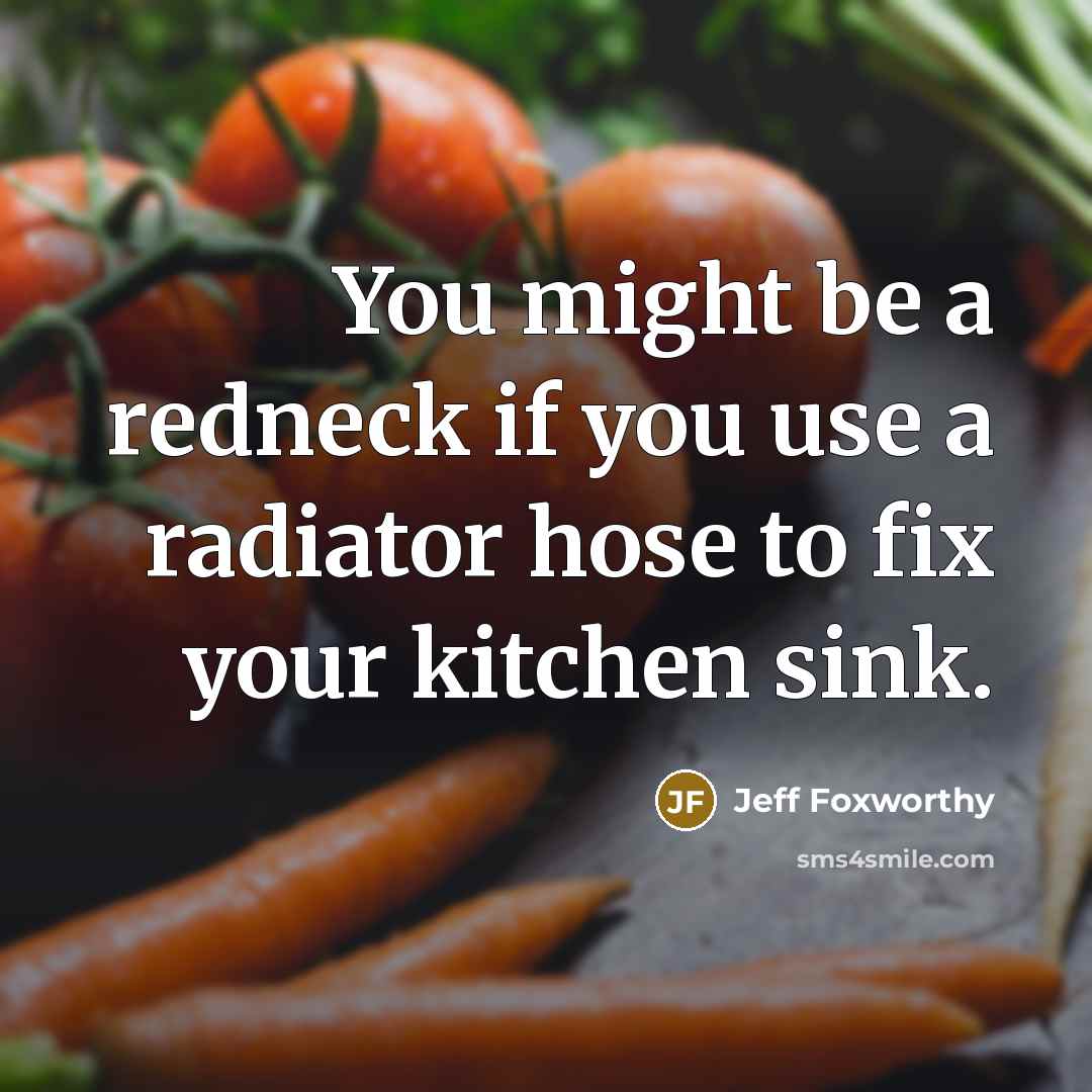 “You might be a redneck if you use a radiator…” quote by Jeff Foxworthy