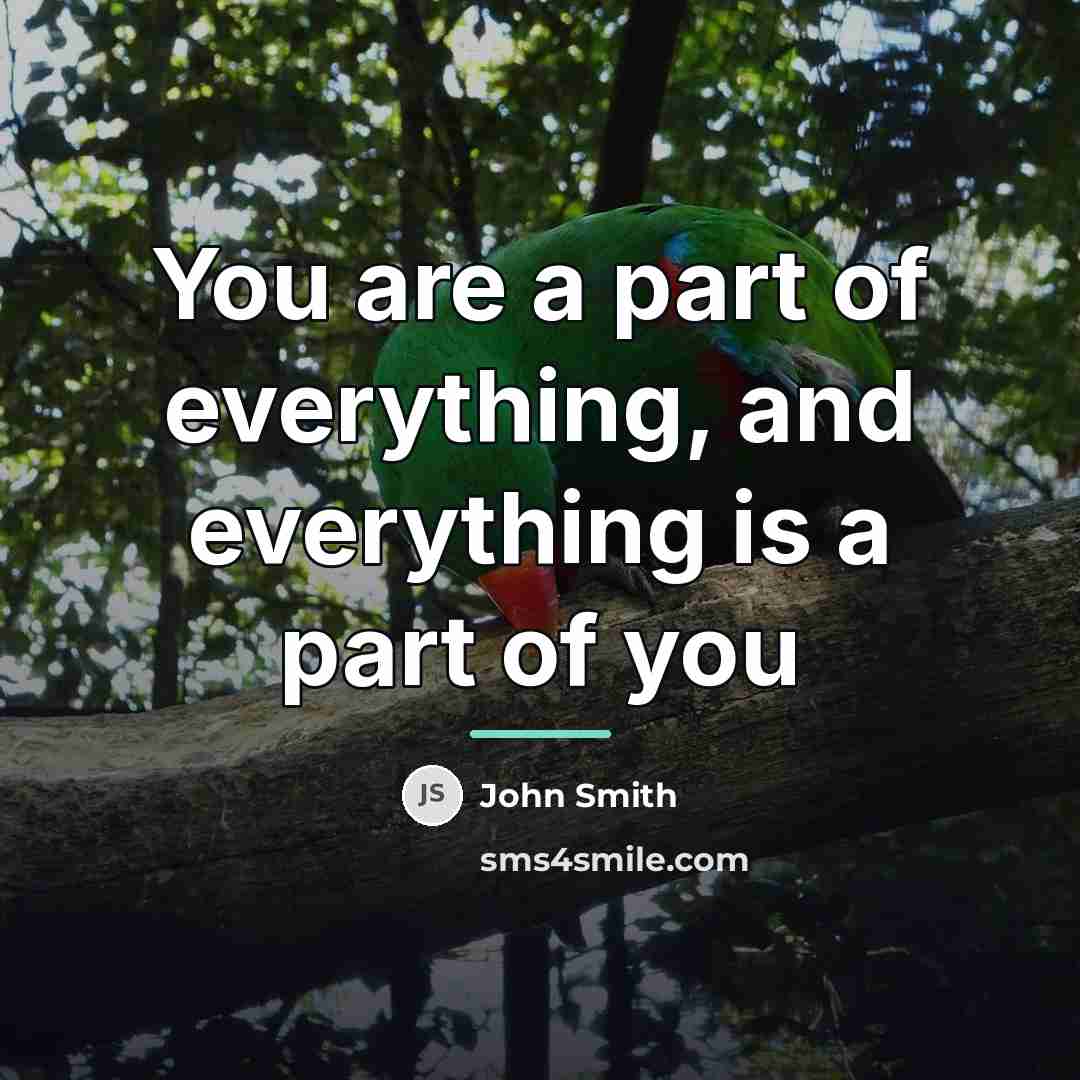 “You are a part of everything, and everything is a…” quote by John Smith