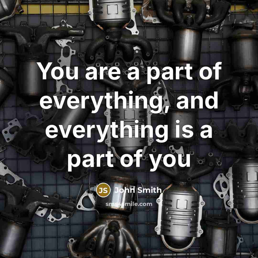 “You are a part of everything, and everything is a part of you” quote by John Smith