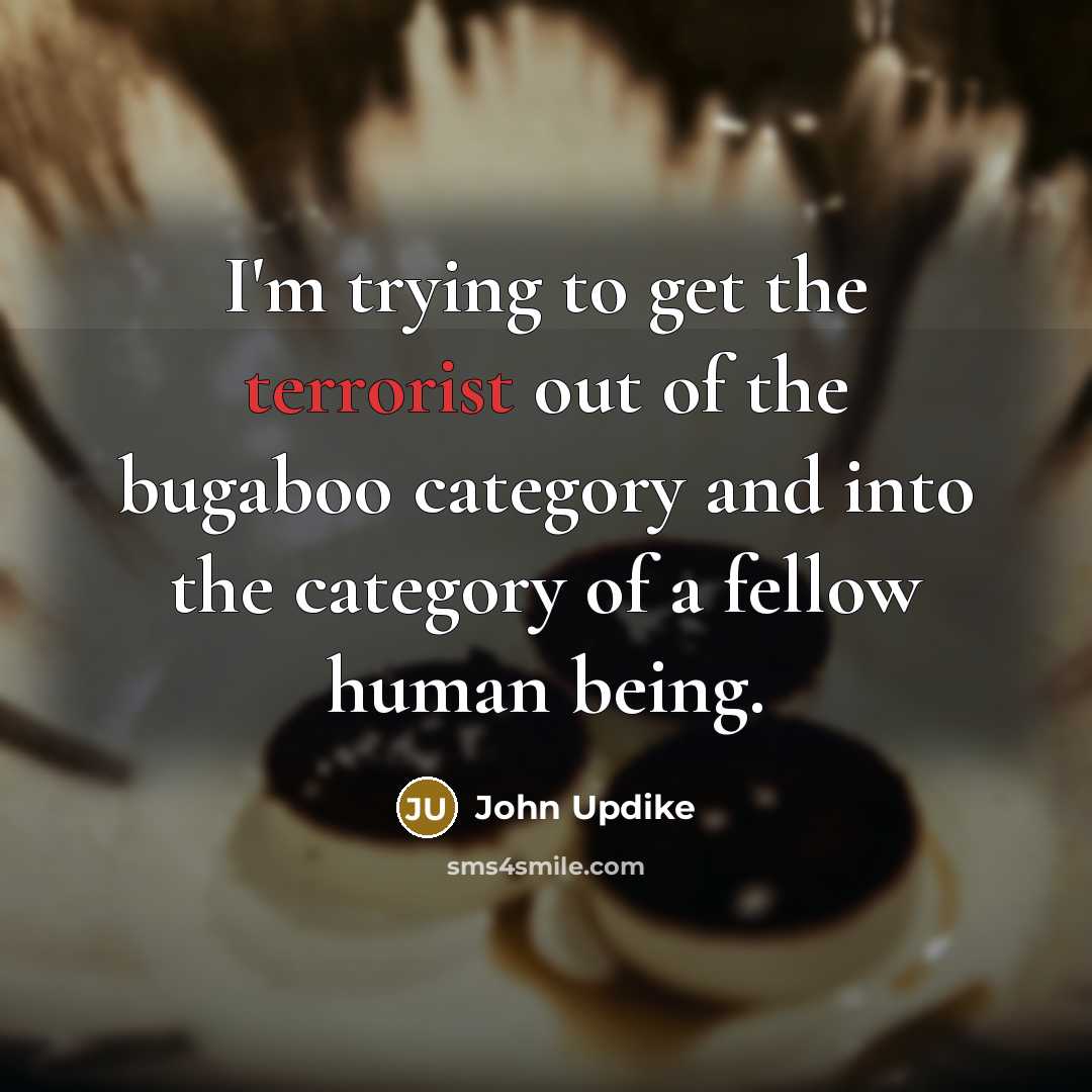 “I'm trying to get the terrorist out of the bugaboo…” quote by John Updike