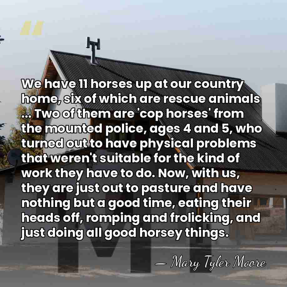 We have 11 horses up at our country home, six of which&hellip; - Mary Tyler Moore