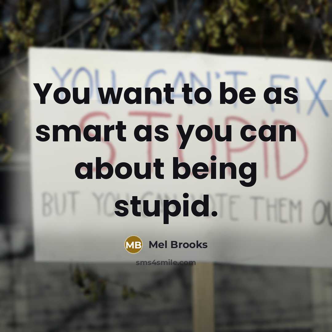“You want to be as smart as you can about…” quote by Mel Brooks