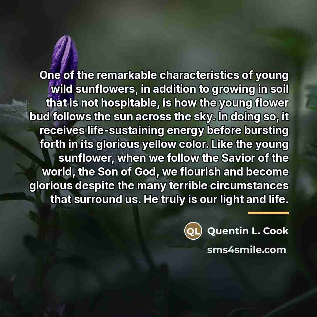 “One of the remarkable characteristics of young wild sunflowers, in…” quote by Quentin L. Cook