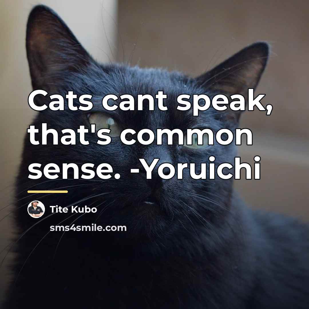 “Cats cant speak, that's common sense. -Yoruichi…” quote by Tite Kubo