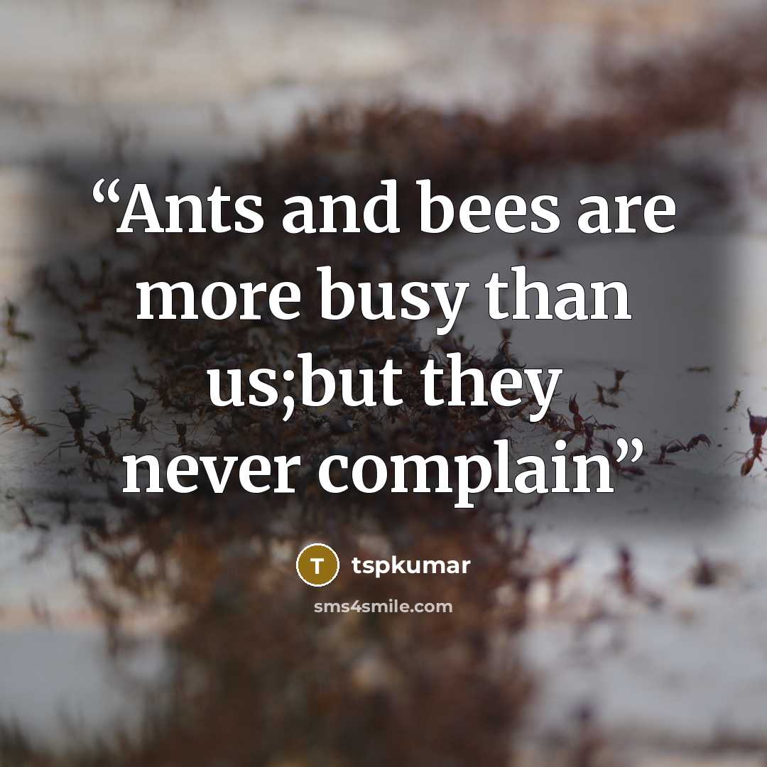 “Ants and bees are more busy than us;but they never complain” quote by tspkumar