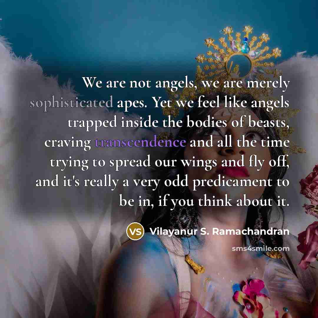 “We are not angels, we are merely sophisticated apes. Yet…” quote by Vilayanur S. Ramachandran