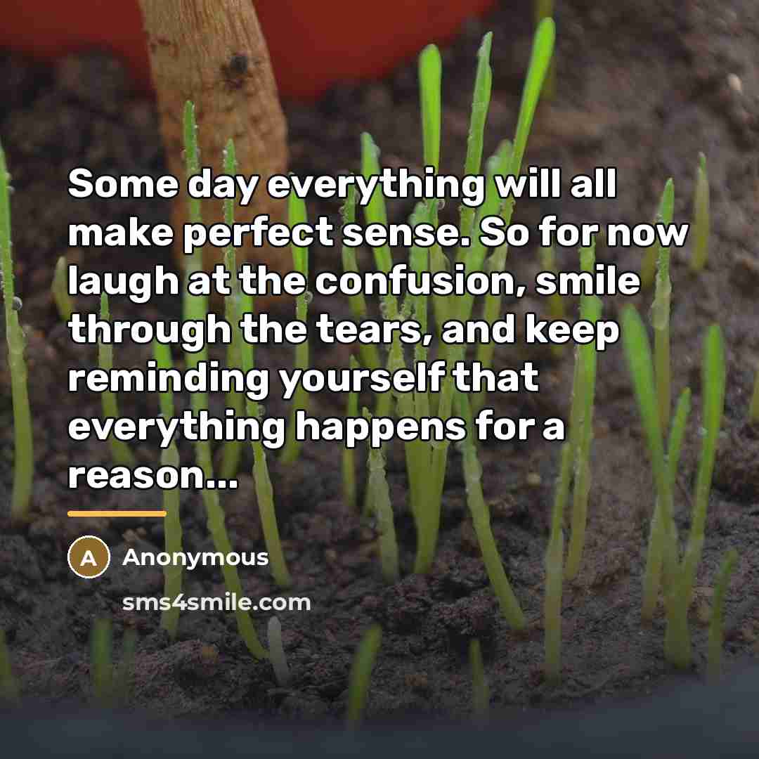 “Some day everything will all make perfect sense. So for…” quote by Anonymous