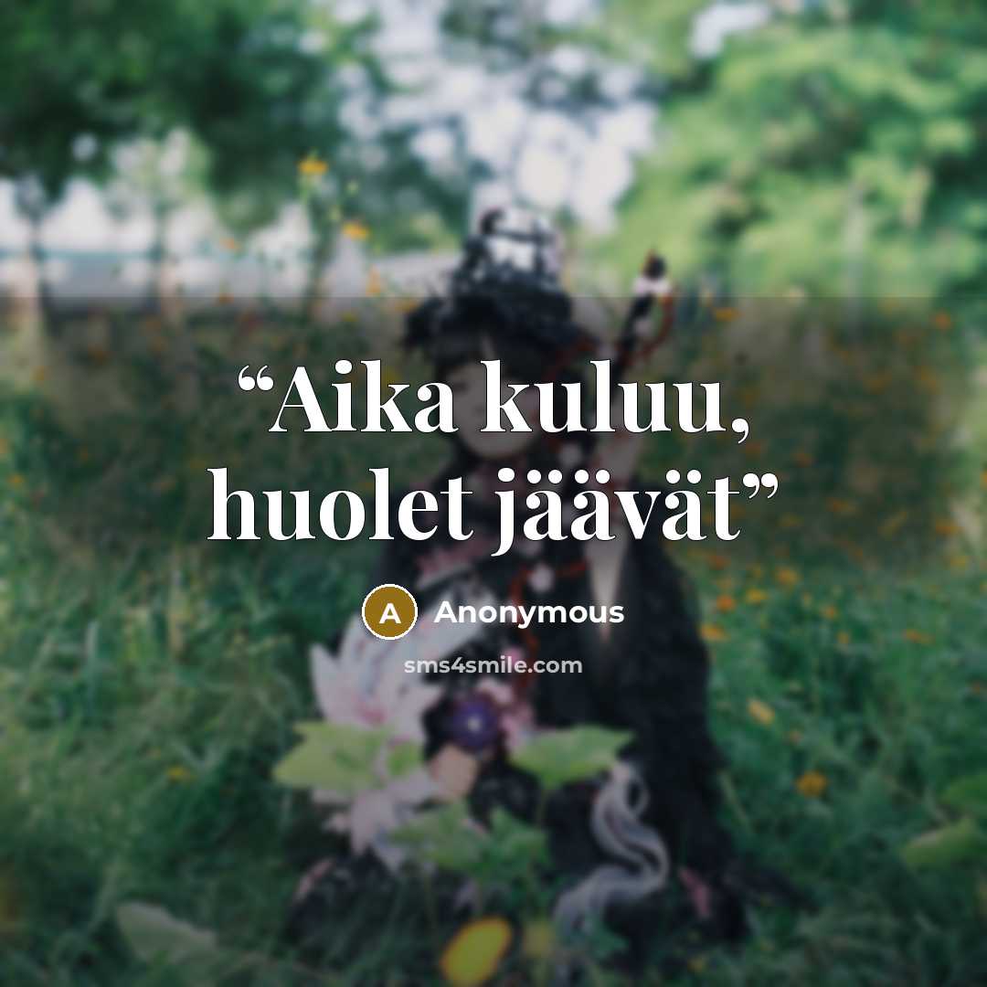 “Aika kuluu, huolet jäävät” quote by Anonymous