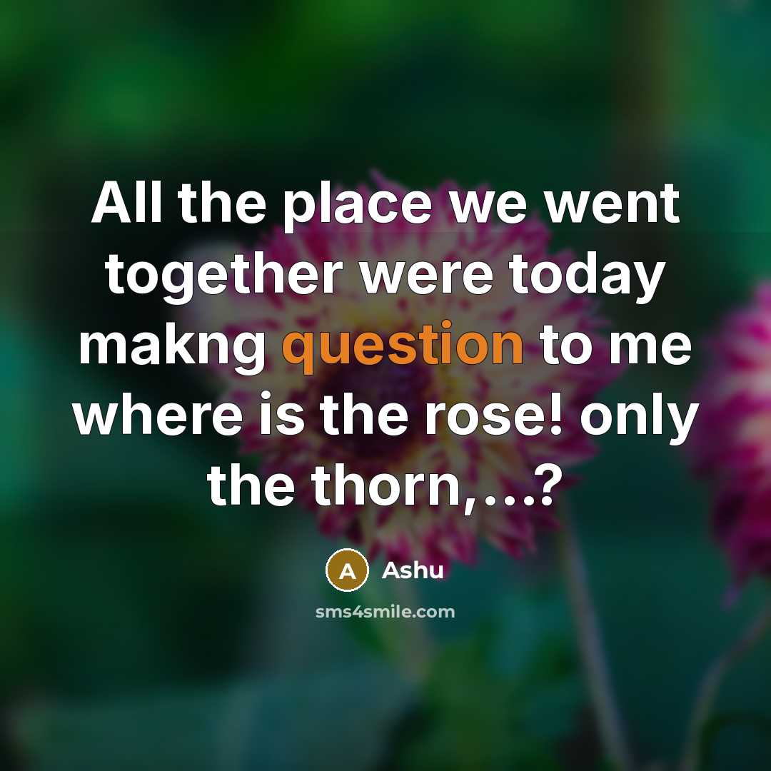 “All the place we went together were today makng question to me where is the rose! only the thorn,...?” quote by Ashu