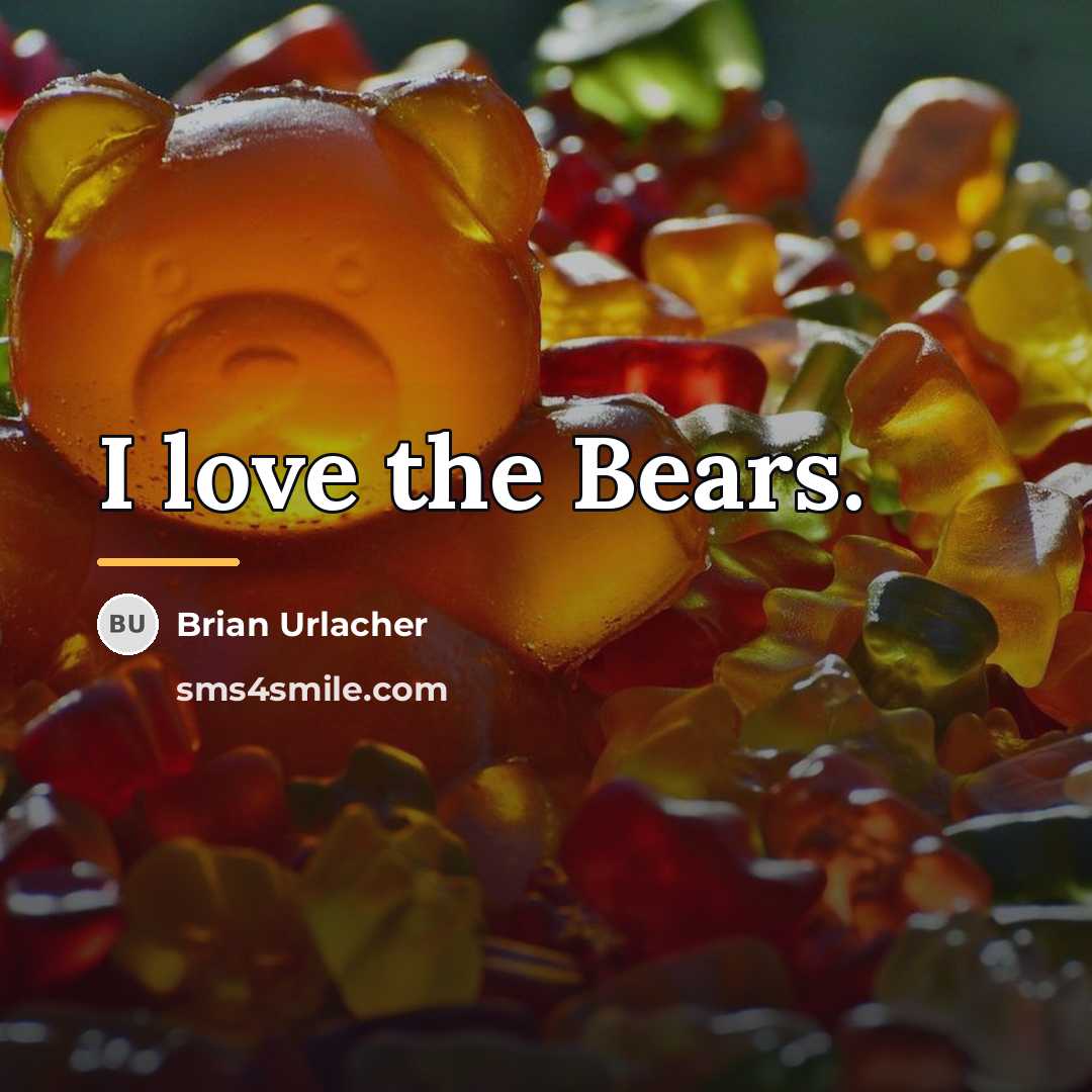 “I love the Bears.…” quote by Brian Urlacher