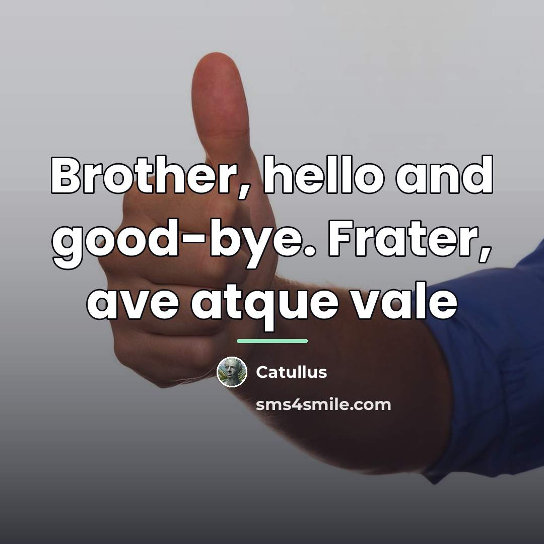 “Brother, hello and good-bye. Frater, ave atque vale…” quote by Catullus