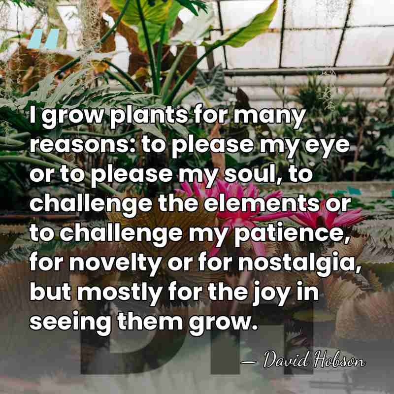 I grow plants for many reasons: to please my eye or to&hellip; - David Hobson