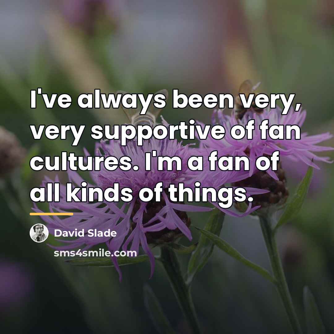 “I've always been very, very supportive of fan cultures. I'm…” quote by David Slade