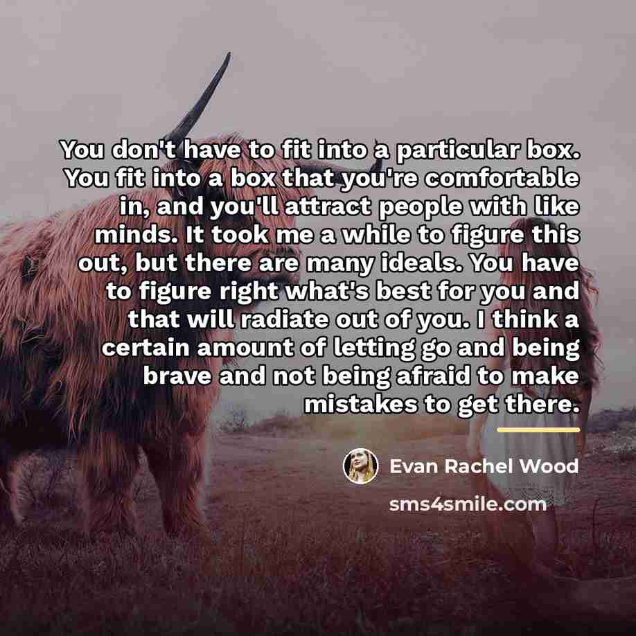 “You don't have to fit into a particular box. You…” quote by Evan Rachel Wood