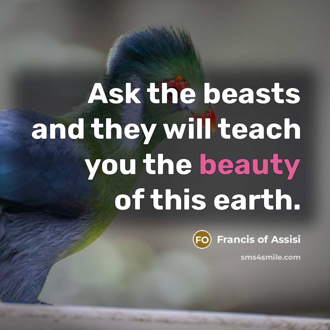 “Ask the beasts and they will teach you the beauty…” quote by Francis of Assisi