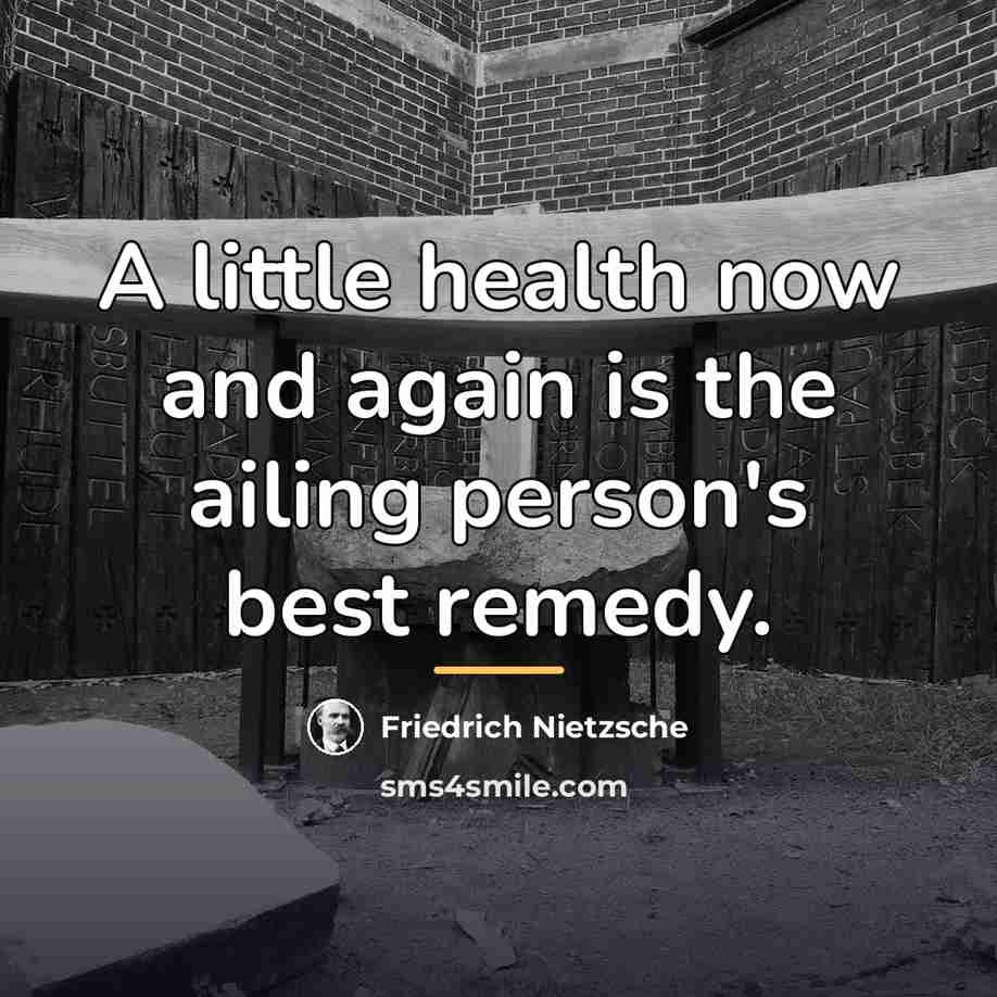 “A little health now and again is the ailing person's…” quote by Friedrich Nietzsche