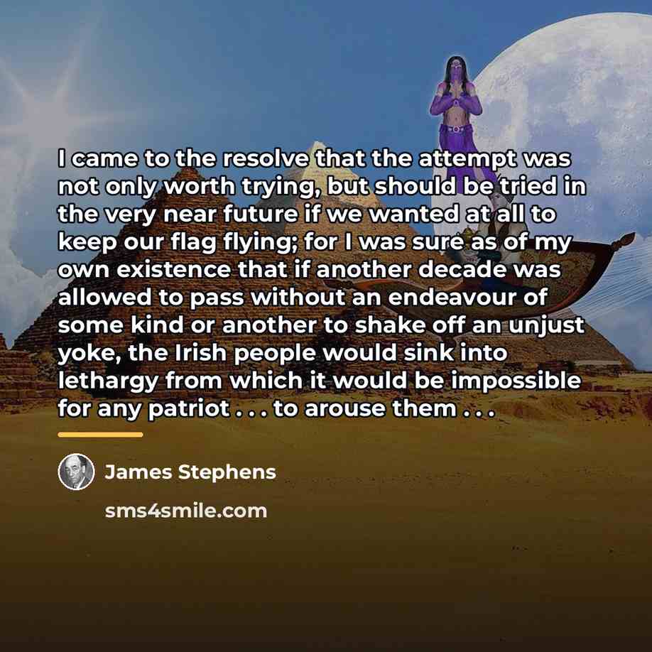 “I came to the resolve that the attempt was not…” quote by James Stephens