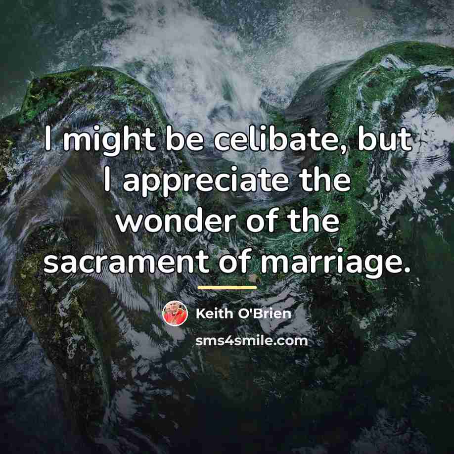 “I might be celibate, but I appreciate the wonder of…” quote by Keith O'Brien