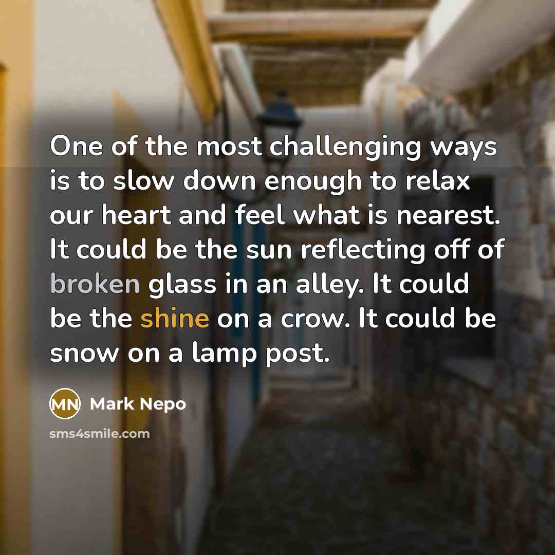 “One of the most challenging ways is to slow down…” quote by Mark Nepo