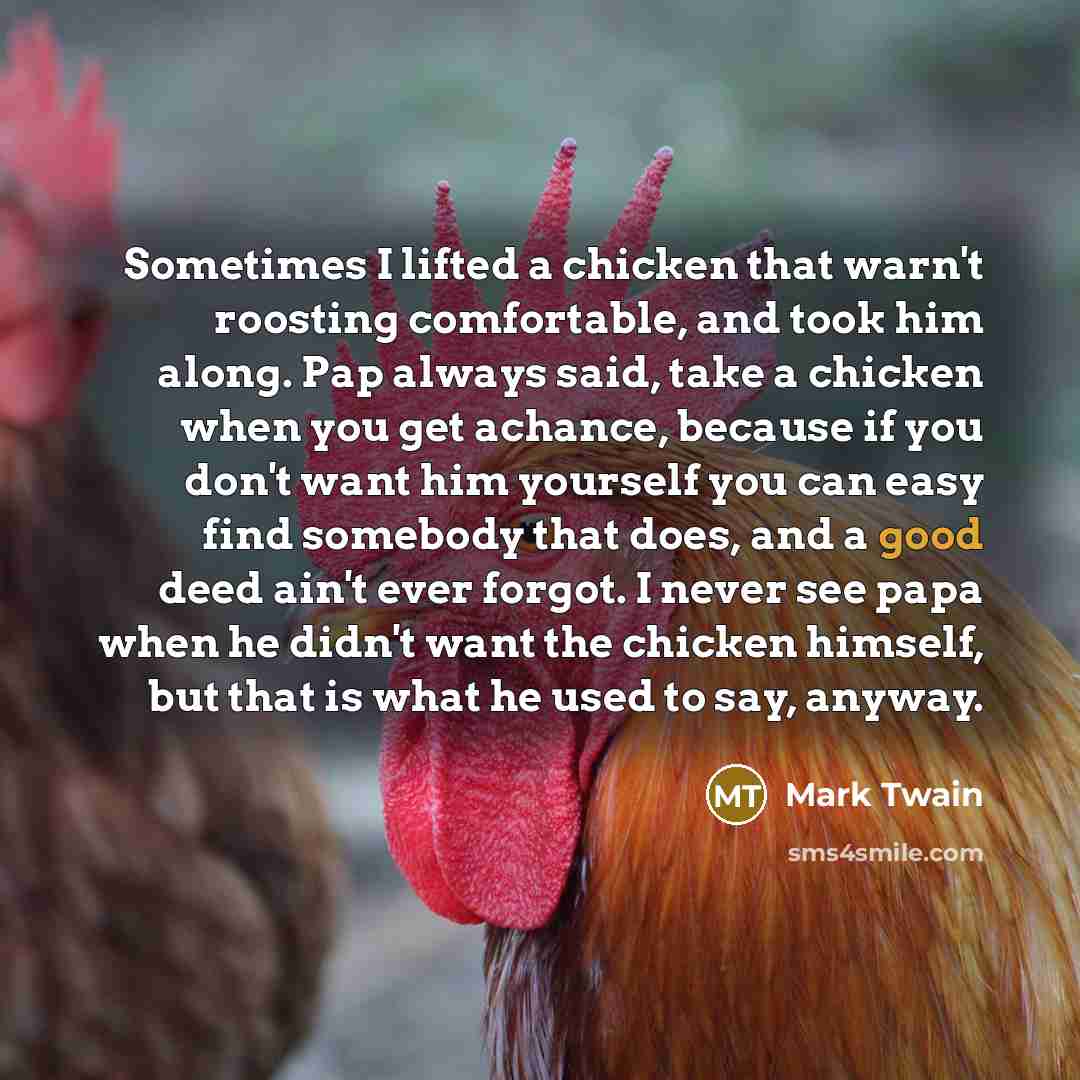 “Sometimes I lifted a chicken that warn't roosting comfortable, and…” quote by Mark Twain