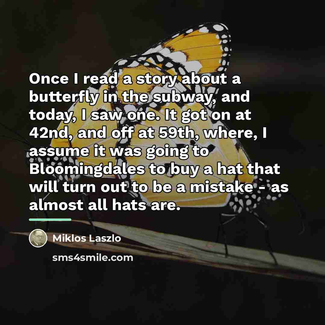 “Once I read a story about a butterfly in the…” quote by Miklos Laszlo