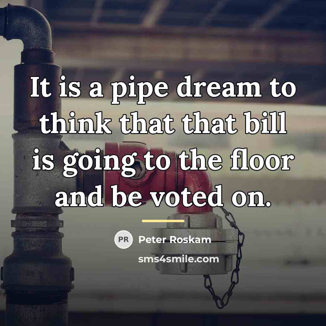 “It is a pipe dream to think that that bill…” quote by Peter Roskam