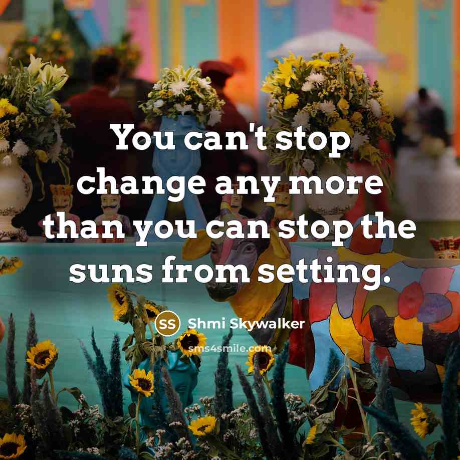 “You can't stop change any more than you can stop…” quote by Shmi Skywalker