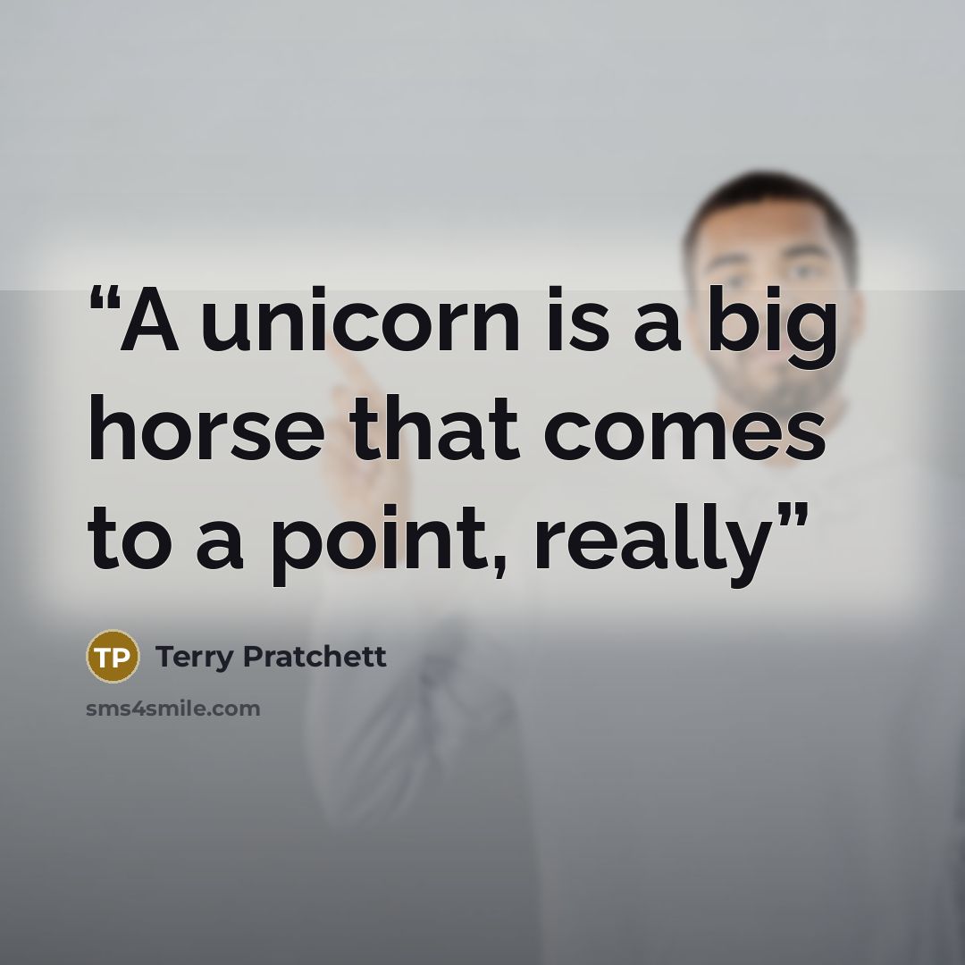 “A unicorn is a big horse that comes to a point, really” quote by Terry Pratchett